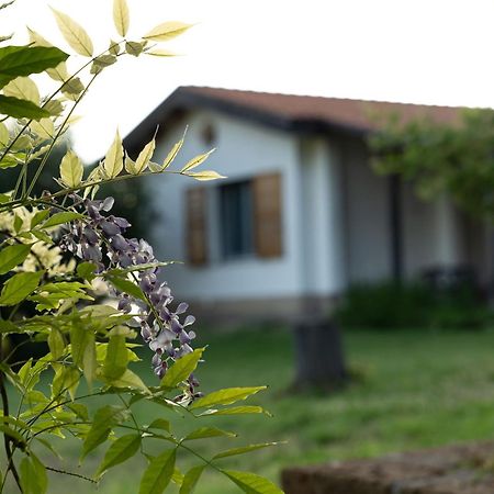 B&B La Figuretta Jesi Exteriör bild